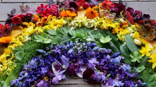 A rainbow created using cut flowers and leaves